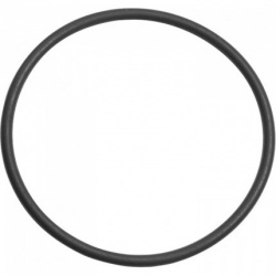 Уплотнительное кольцо под ЗПУ М52 ()
